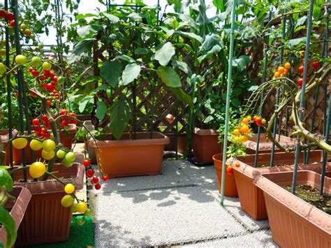 家庭菜園の初心者必見！ 苗の植え付けは5月になってからの方が良い理由 ウェザーニュース