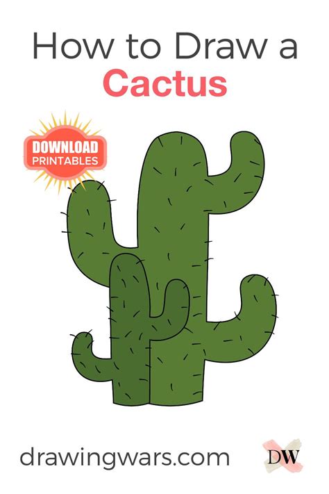 How To Draw A Cactus Step By Step At Drawing Tutorials