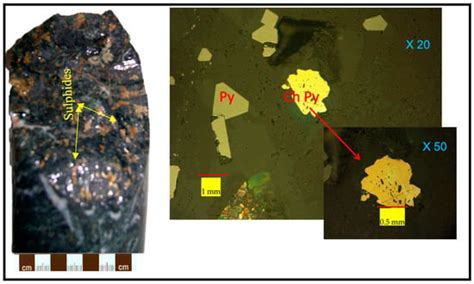 Minerals Free Full Text Magnetic Survey For Iron Oxide Copper Gold Iocg And Alkali Calcic