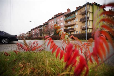 Mieszkanie Częstochowa ul Szajnowicza Iwanowa bez pośrednika 72 m2