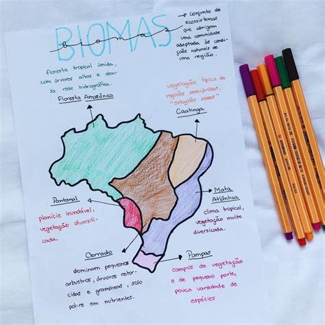 Resumo Sobre Biomas Do Brasil Geografia Enem