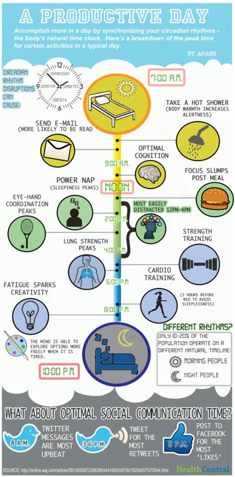 Increase Productivity Infographic