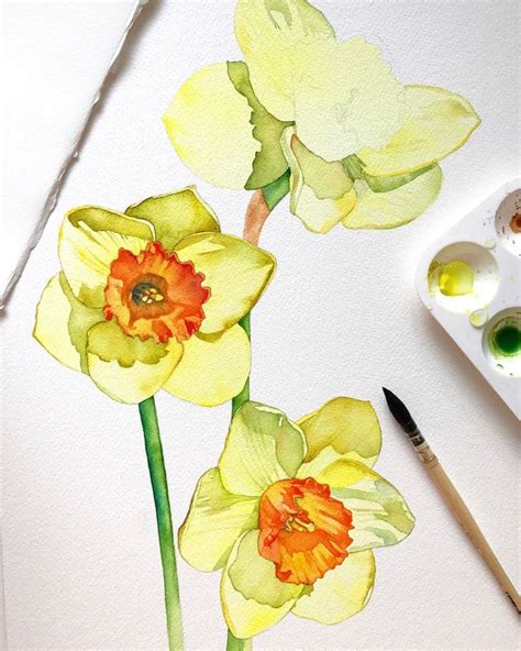 Louise De Masi On Instagram Ive Just Uploaded Two Watercolour