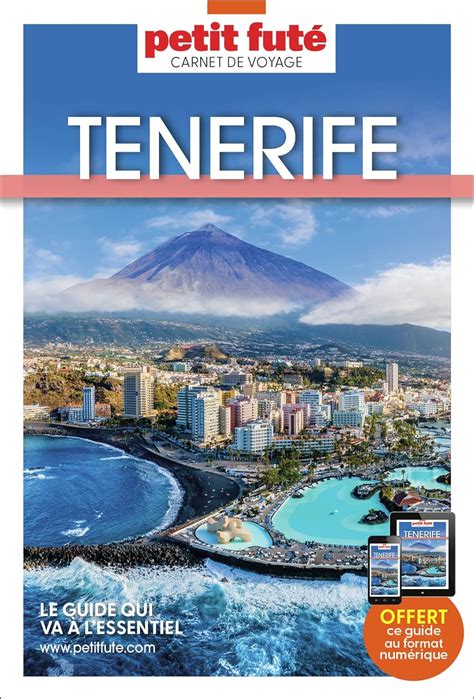 Guide Tenerife 2023 Carnet Petit Futé Auzias d labourdette j