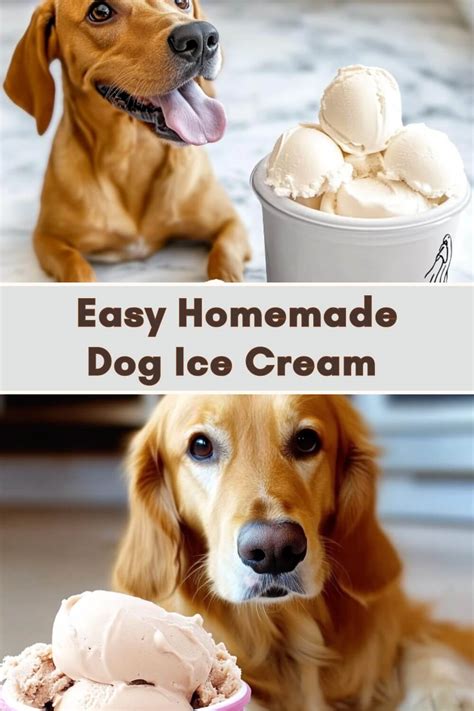 Easy Homemade Dog Ice Cream Recipecs