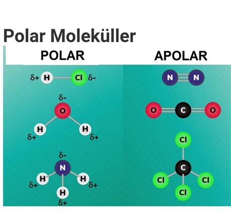 Çok bilinen polar ve apolar molekülllere örnek veriniz Eodev