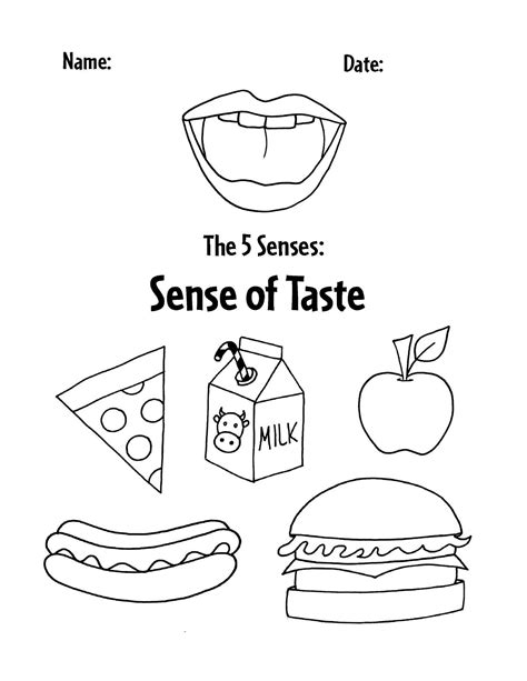 Sense Of Taste Worksheets For Preschool Artofit