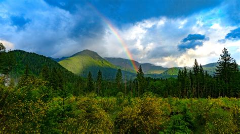 Rainbow 11 4K HD Nature Wallpapers | HD Wallpapers | ID #33608