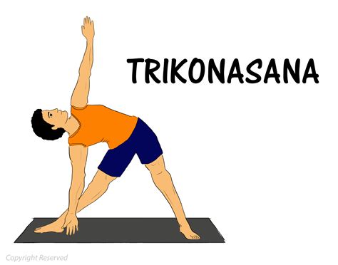 Trikonasana101yogasan 101yogasan