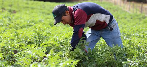 Minagricultura Presenta El Bolet N Agroclim Tico Con Recomendaciones