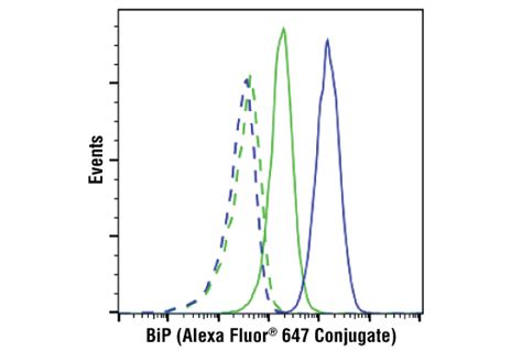 Calreticulin D E Xp Rabbit Mab Pe Conjugate Cell Signaling