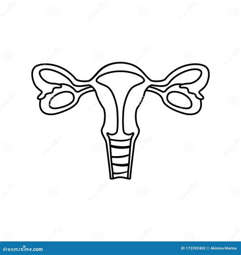 Female Reproductive System Icon Linear Template For Anatomy Poster