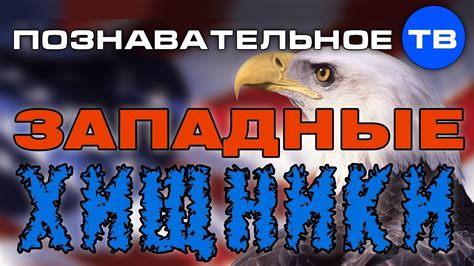 Западные хищники (Познавательное ТВ, Евгений Фёдоров) - YouTube