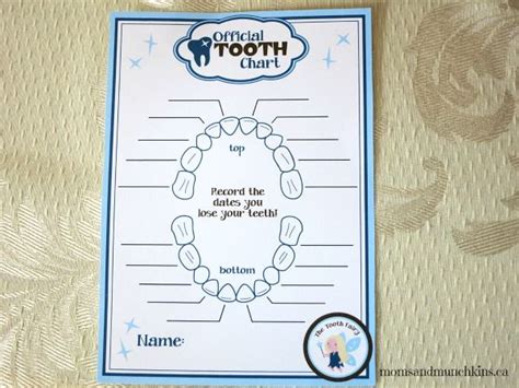 Tooth Fairy Ideas And Free Printables Moms And Munchkins Tooth Chart