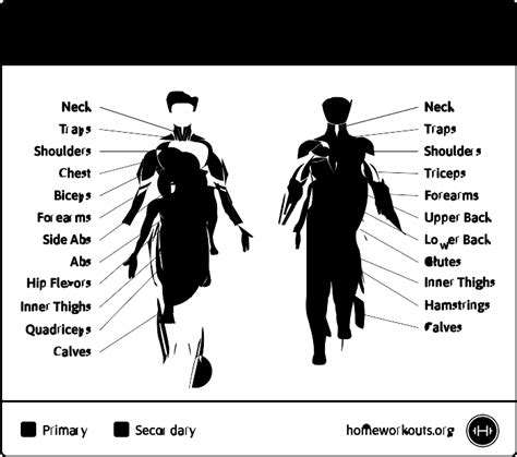 Dumbbell Shoulder Shrug How To Do Properly And Muscles Worked