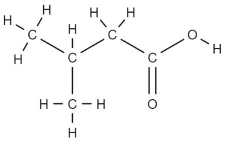 Draw The Structure For Methylbutanoic Acid Homework Study