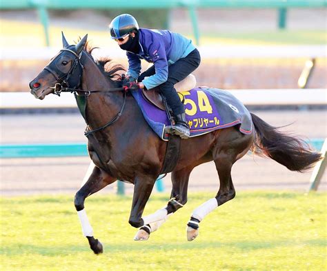 【注目馬動向】シャフリヤールがドバイ・シーマクラシック3年連続参戦へ 22年には優勝 Umatoku 馬トク