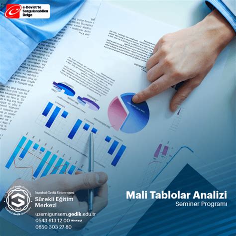 Mali Tablolar Analizi