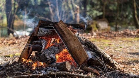 La Mayoría De Los Incendios Son Provocados Por El Hombre El Heraldo De Aguascalientes