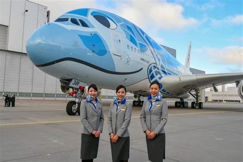 How To Apply Ana All Nippon Airways Cabin Crew Hiring Cabin Crew Hq