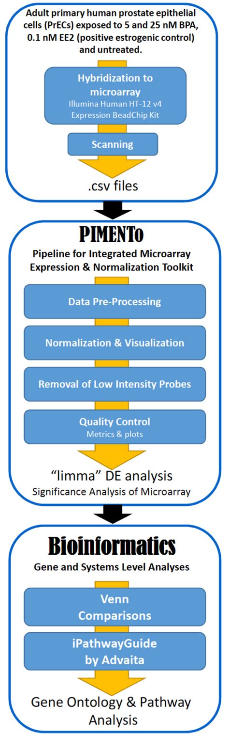 Bioinformatics Workflow Schematic A Higher Resolution Colour