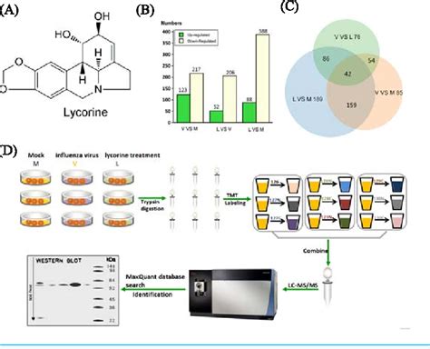 Figure 1 From Tandem Mass Tag Based Quantitative Proteomic Analysis Of