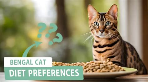 Exploring Bengal Cat Diet Preferences