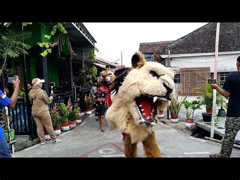 Parade Barongan Macan Macanan Barongsai New Pandawa Menuju Kampung Pak