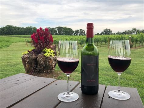 26 Of The Best Yadkin Valley Wineries To Visit In 2024 Stuck On The Go