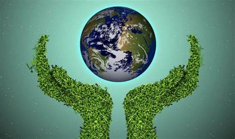 ¿qué Es El Marketing Verde Ecológico O Ambiental