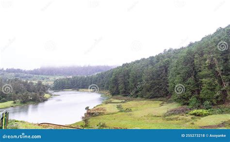 Pykara Waterfalls Ooty National Park View Trip Photo Stock Photo