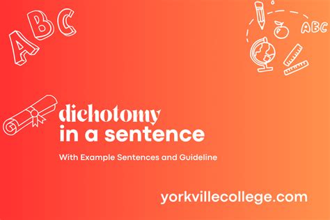 How To Use Dichotomy In A Sentence Easy Examples