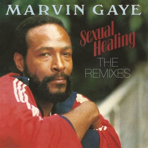 Marvin Gaye Sexual Healing The Remixes Vinyl Magazin De Muzic