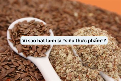 hat lanh la gi dinh duong cong dung va cac mon ngon tu hat lanh