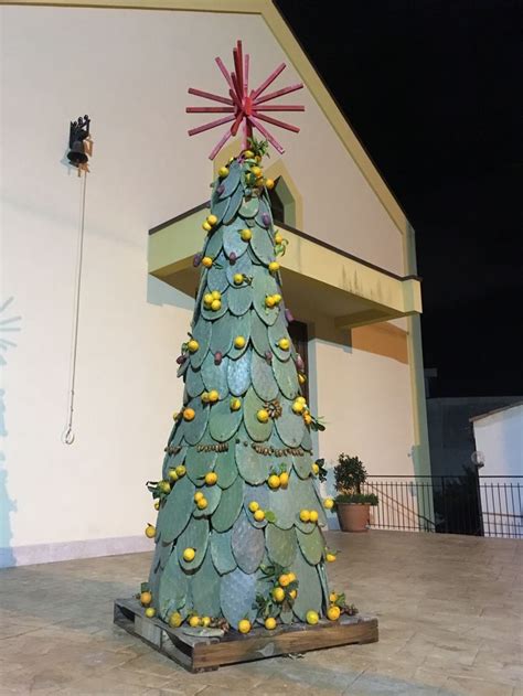 Albero Di Natale Alternativo Con Pale Di Fico Dindia Malpasso 2024