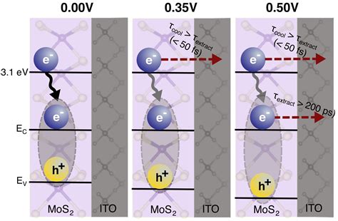 Hot Carrier Extraction From D Semiconductor Photoelectrodes Pnas
