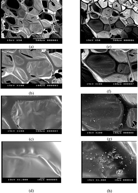 Figure 1 From Sponge Mediated Moringa Oleifera Seeds As A Natural