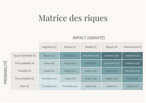 D Finition Matrice Des Risques