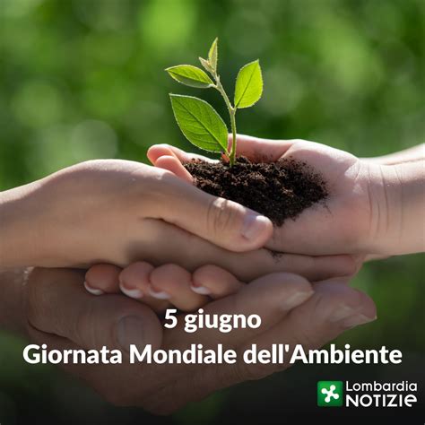 WorldEnvironmentDay SostenibilitàInLombardia Oggi celebriamo la