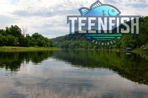 Arkansas Non Resident Fishing License A Complete Guide For 2024 TeenFish