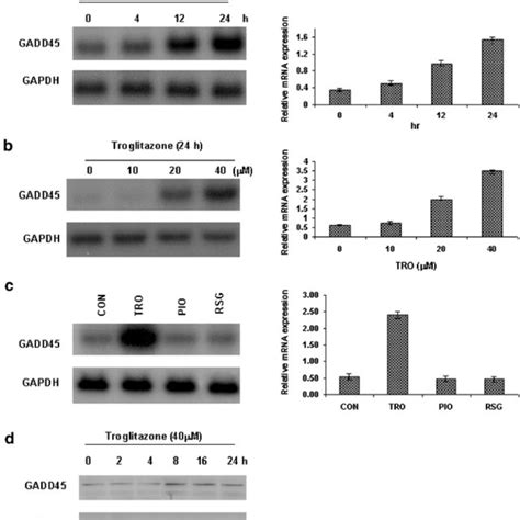 Induction Of Gadd Mrna And Protein Expression By Tro In Mcf Cells