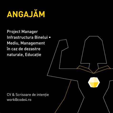 Manager De Proiect Infrastructura Binelui Mediu Management N Caz De