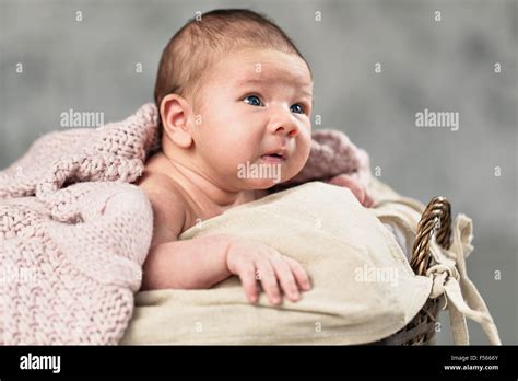 Newborn Baby Boy Lying Down Inside The Wicker Basket Stock Photo Alamy