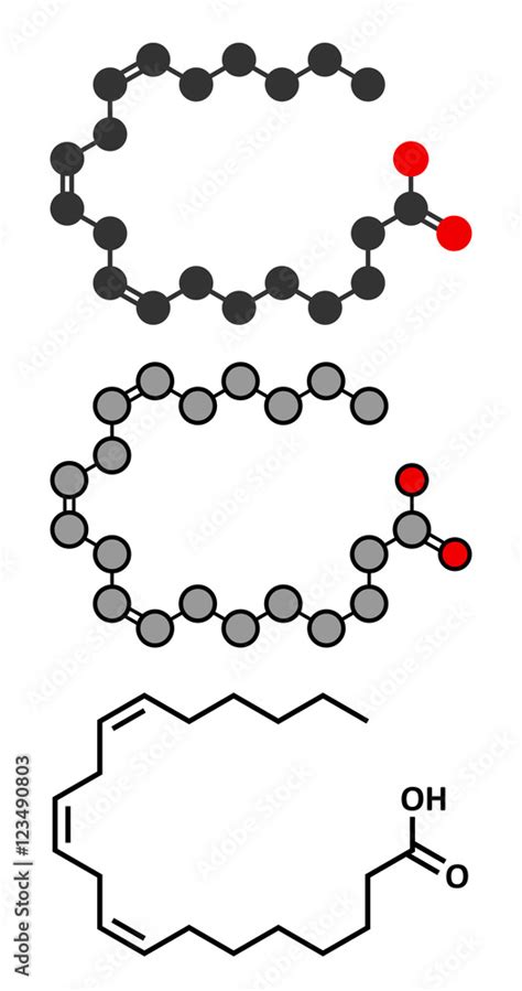 Gamma Linolenic Acid