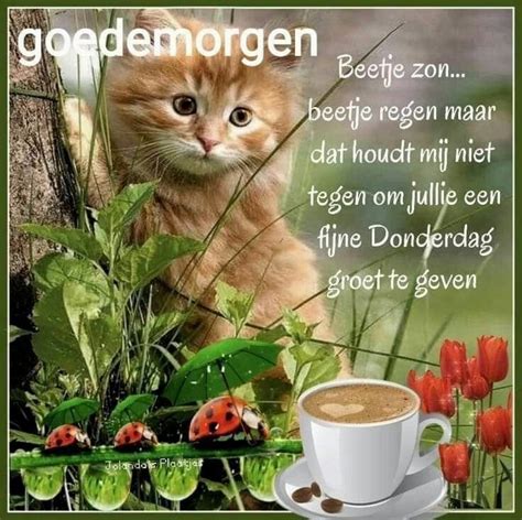 Pin Van Rachel De Op Mooie Woorden Goedemorgen Woensdag Donderdag