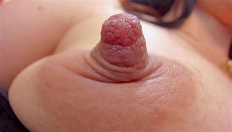 Large And Intensely Desired Nipples And Lactating Will Be The Most Top Long Nipples Big Tits