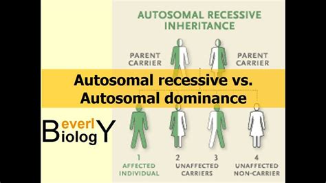 Venn Diagram Of Autosomal Recessive Vs Autosomal Dominant Au