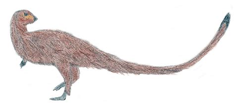 Leaellynasaura Pictures And Facts The Dinosaur Database
