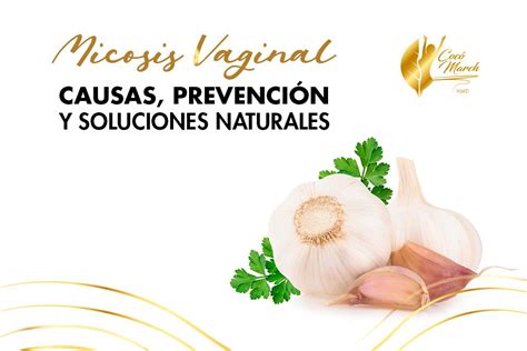 Micosis Vaginal Causas Prevención Y Soluciones Naturales Coco March