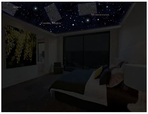 Star Ceiling With Constellations Star Ceiling Starry Ceiling